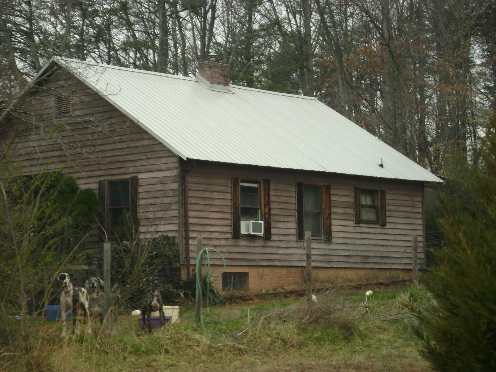 White metal roof on an old wood sided farmhouse, from a Asphalt Shingle Roof Repair job in Iona